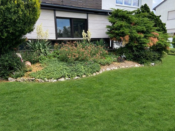 Ben curato appartamento di 3 locali al piano terra con veranda e ampio giardino – Foto 19