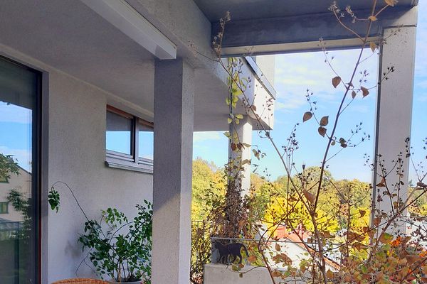 Bürgerpark Pankow'da Yaşam