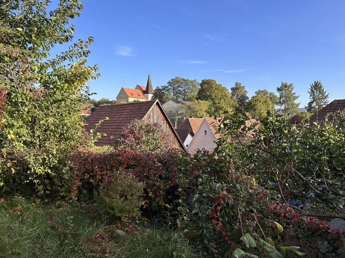 Garten, Blick auf Schulberg