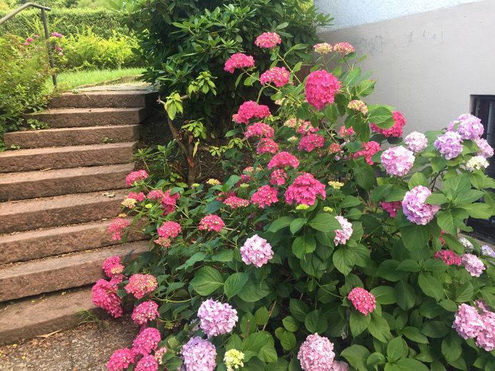 Treppe Gartenzugang