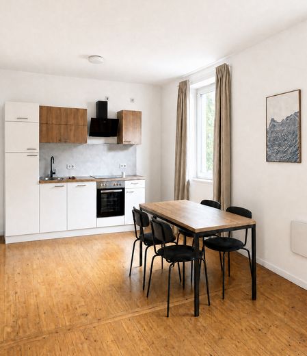 Stilvoll möblierte 2-Zimmer-Wohnung in Nürnberg – frisch saniert, sofort verfügbar – Wohnküche