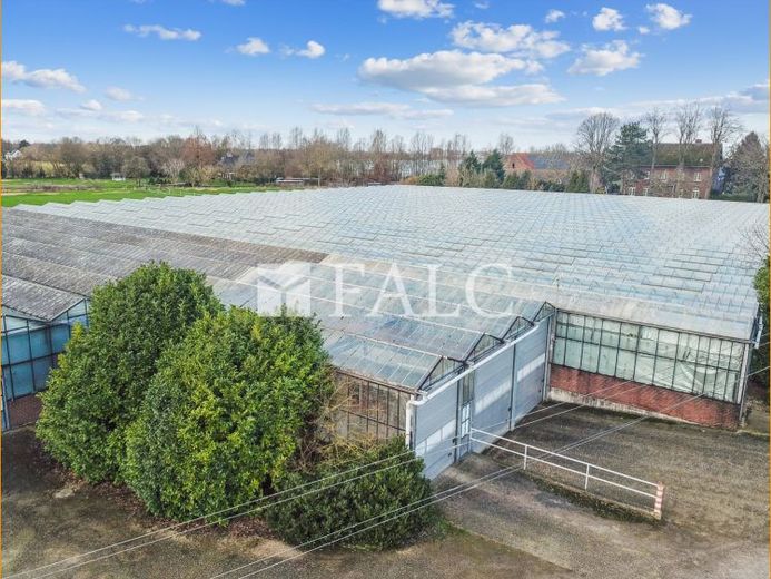ursprünglicher Gartenbaubetrieb zur gleichen oder anderweitigen Nutzung – Foto 1