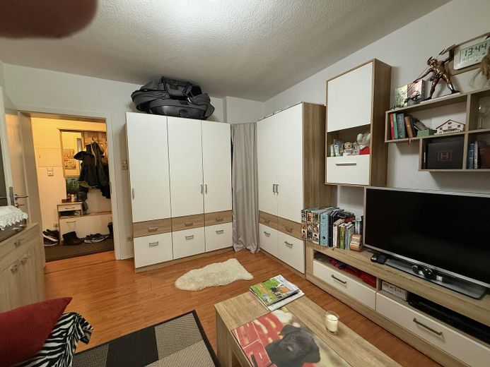 Apartamento ideal para solteros cerca del hospital, con jardín propio – Wohnzimmer