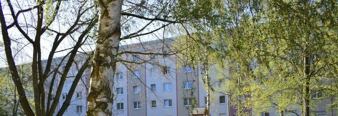 Familienmomente genießen – modernes Zuhause mit Spielplatz hinter dem Haus