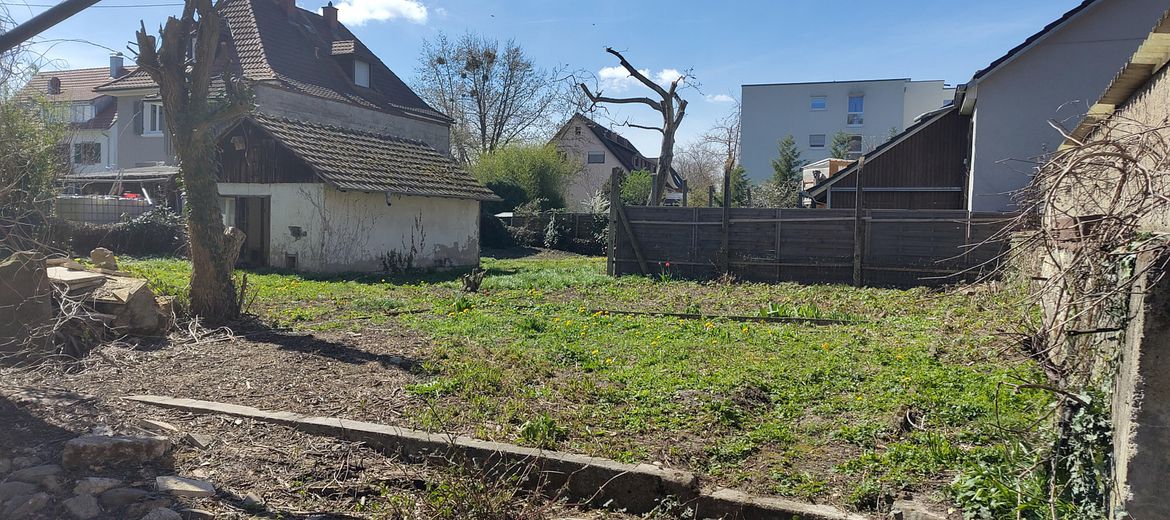 Gartenblick