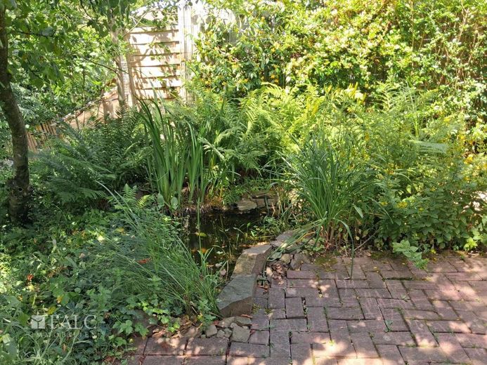 Dein zukünftiger Rückzugsort – Teich