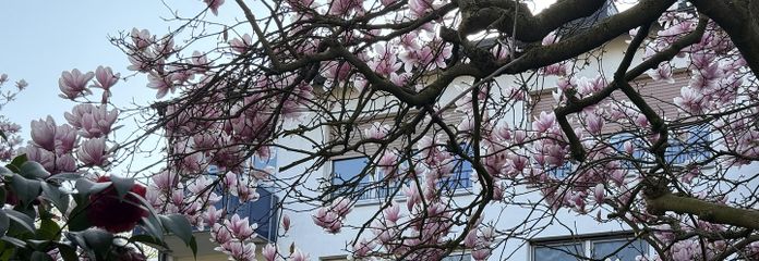 Appartement rénové de 3,5 pièces avec balcon à Oberhausen, garage sur demande – Rückansicht