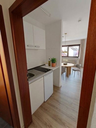 Charmantes 1,5 Zimmer Appartment mit Pantry Küche und KFZ Stellplatz - Frei nach Absprache – Küche KI Beispiel