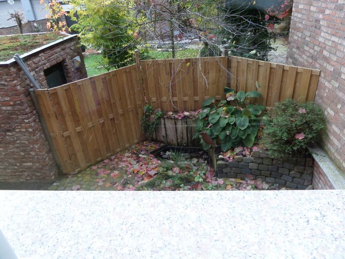 Blick aus  dem Küchenfenster