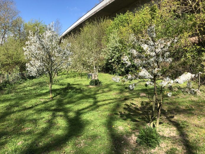 Erfüllen Sie sich den Traum vom Eigenheim in Bodenwerder! – Foto 8