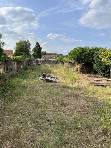 Wiese hinterer Garten
