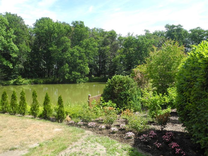 Blick aus dem Garten