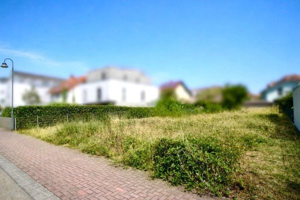 Тут здійснюються мрії про житло — ділянка, сповнена можливостей