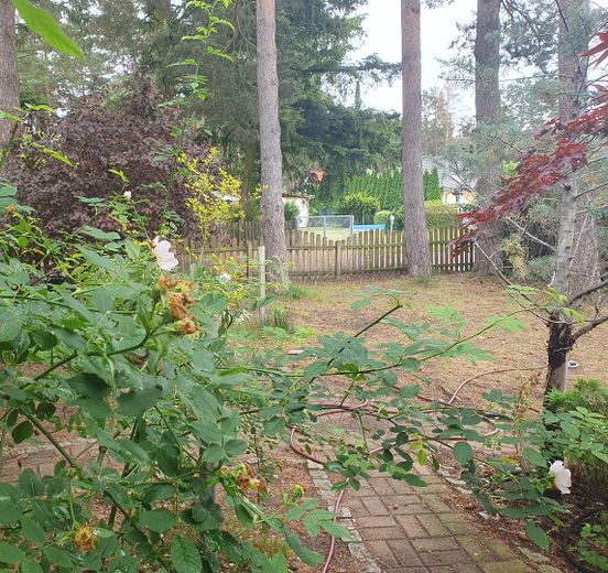 der vordere Garten