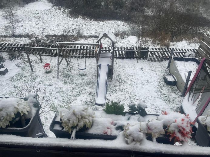 Wundervolles EFH in schönster Lage - Ab Sofort ohne Makler! – Balkon / Garten