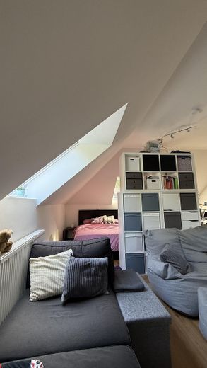 Jasne mieszkanie na poddaszu z 1 pokojem i zabudową kuchenną, 50 m², Schleswig, mieszkanie 13.2 – Zdjęcie 9