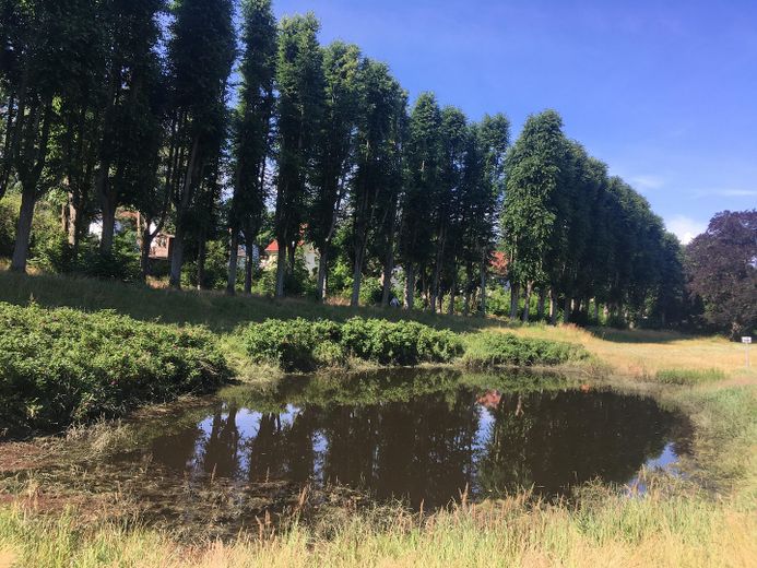 Park in der Nähe
