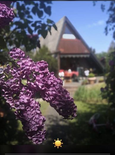 Casa con tetto spiovente sul bellissimo lago Freilinger See nel villaggio turistico – completamente arredata – Foto 25