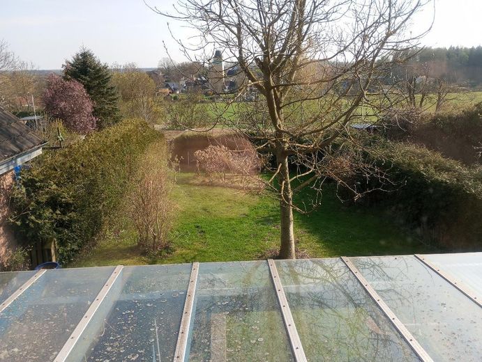 Blick in den Garten