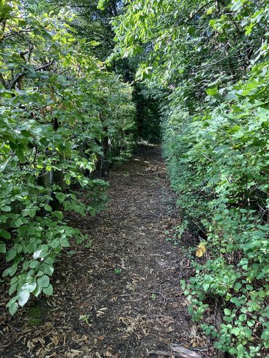 terreno non edificato a Freiberg - senza commissioni – Westgrenze - Richtung Norden