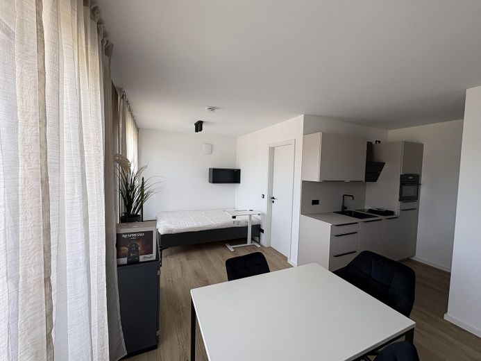 Erstbezug: Möbliertes, exklusives Penthouse 1-Zimmer-Apartment in hochwertigem Neubau – फोटो 4