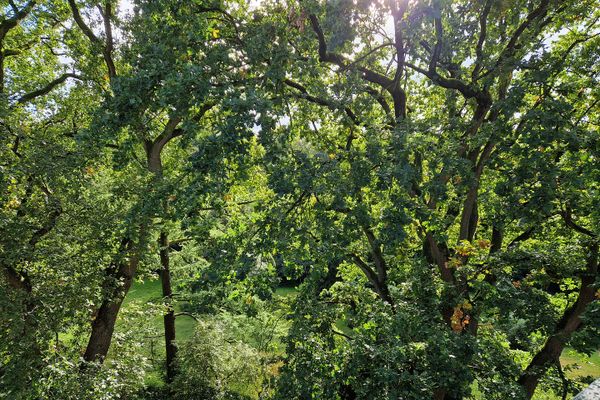 22399 HH-Poppenbüttel: Sehr schöne, helle, uneinsehb., möbl.  Whg., Blick über Alstertal