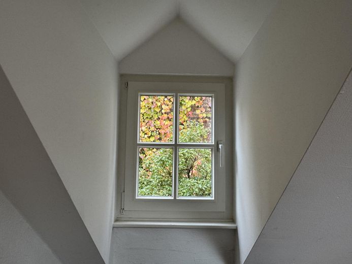 Ehrenfeld-Bickendorf: Wunderschönes Landhaus mit Hof und großem Garten, ökologisch saniert – Detail: Gaube, das Haus hat 7 