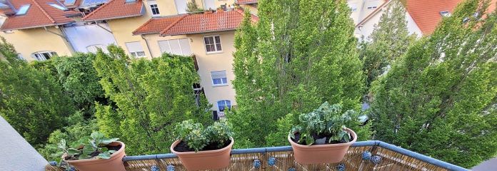 Balkon / Wohngebiet