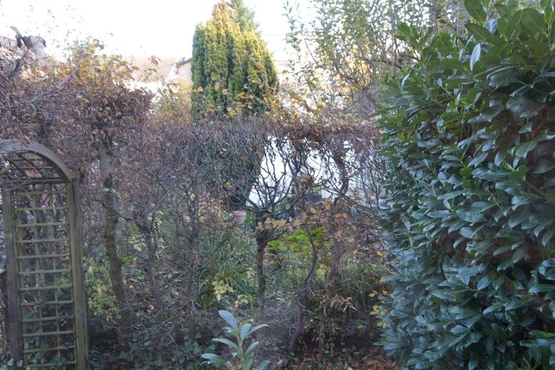 Helle, schöne Wohnung mit Komplettausstattung, Waschmaschine etc., ruhig gelegen – 1fccf07672bc5dbb4e1cf0d29c5484079142c1bb.jpg