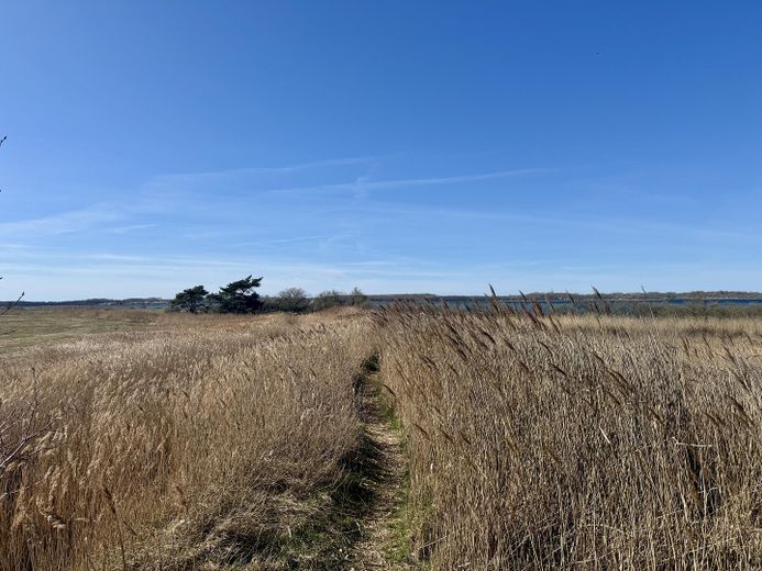 Bauträgerfreies Baugrundstück in idyllischer Lage – Am Salzhaff - Teßmannsdorf - provisionsfrei – Weg zum Haff (2 km entfernt)