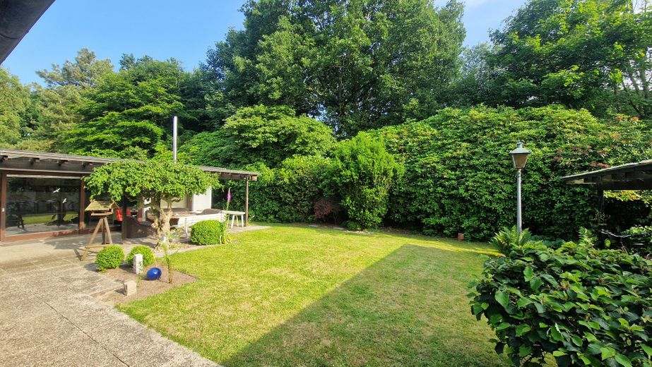 Blick in den Garten