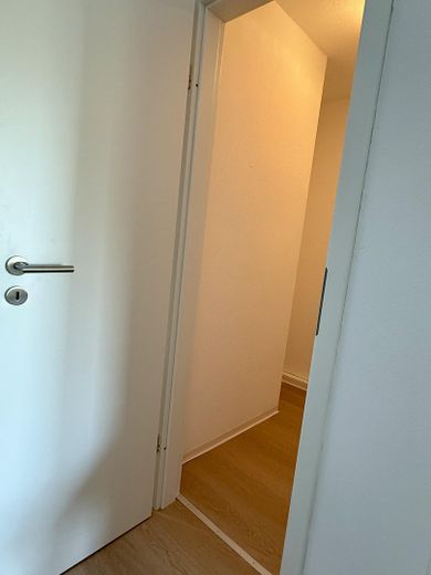 2-kamermaisonette met uitzicht op het groen en het meer, pas gerenoveerd, 42 m², parkeerplaats in de ondergrondse garage – Foto 2