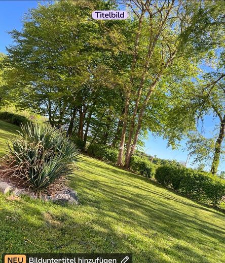 Schöne Vierzimmerwohnung mit Balkon in grün zu verkaufen – Foto 2