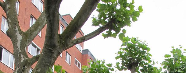 Aussenansicht Rückseite
