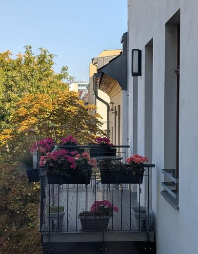 westlicher Balkon