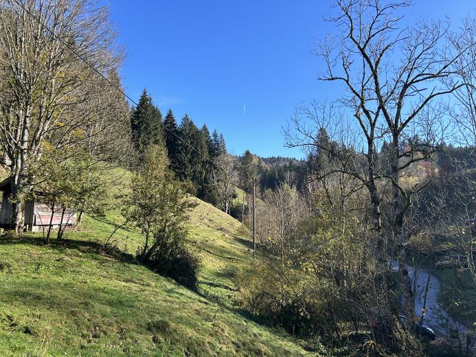 "Sonnenplateau" Grundstück mit Baugenehemigung in Traumlage im Herzen des Oberallgäus – Grundstück Auszug 