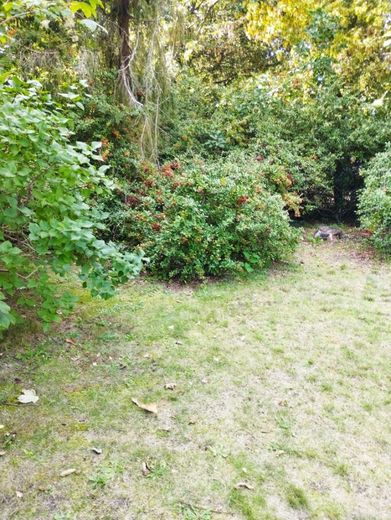 !6% Rendite in Lichterfelde, Möblierte Maisonette inkl. Stellplatz,  Sauna, Gartennutzung und Balkon! – Geimeinschaftsgarten Bild 1