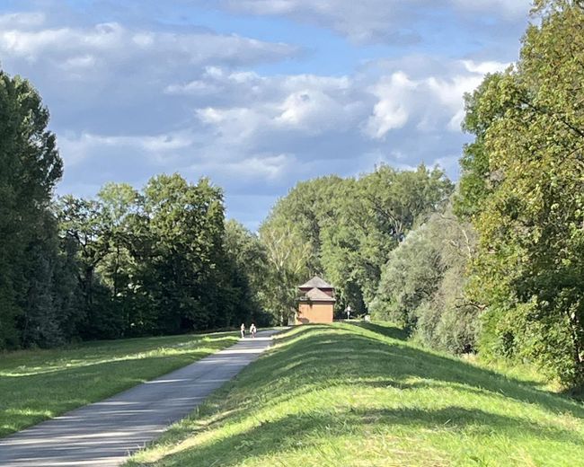 Rheinauen bei Hördt