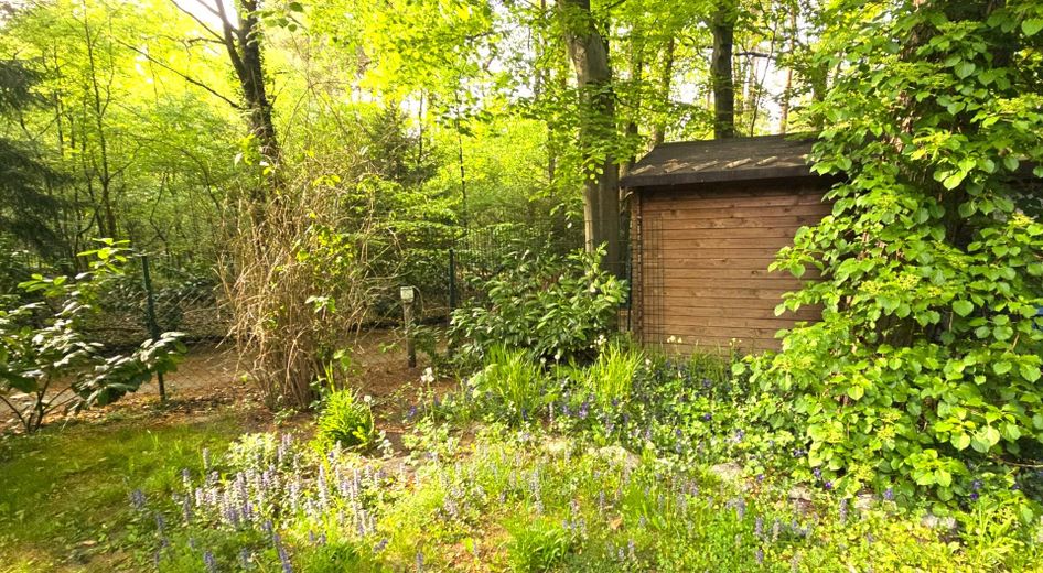 Mietobjekt Garten+Gartenhaus