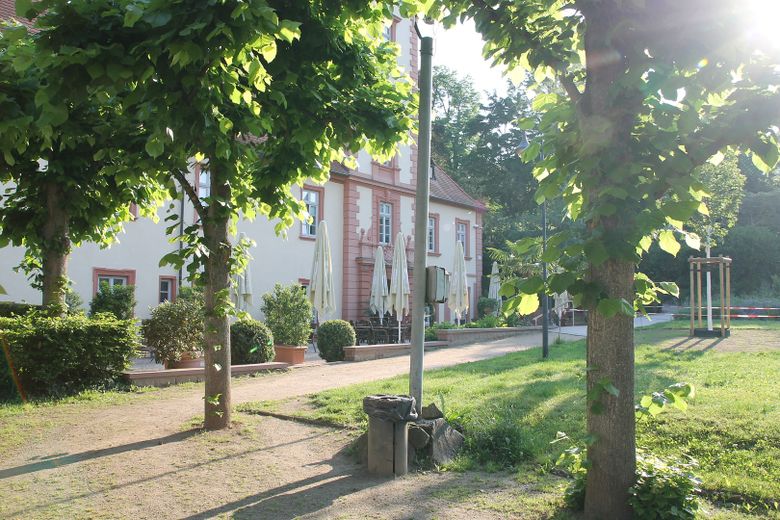 Stadtpark gegenüber