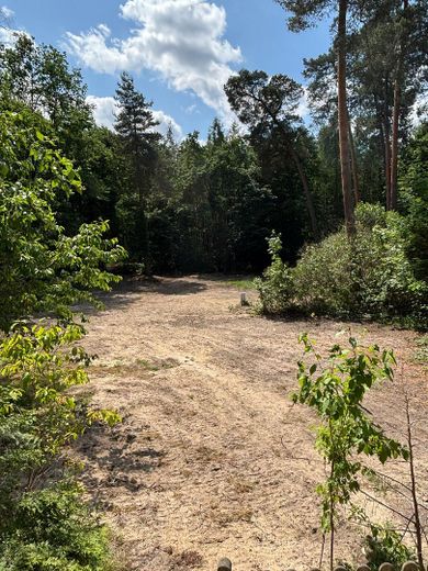 Senza provvigione – ca. 920 m² di terreno edificabile completamente urbanizzato a Schönwalde-Glien – posizione ai margini del bosco – Blick auf das Grundstück