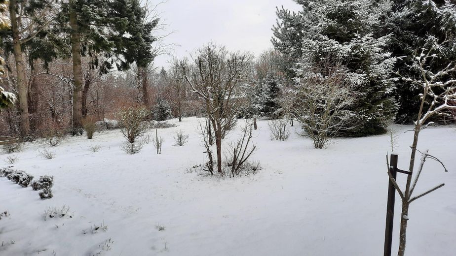 Winterlicher Blick nach Osten