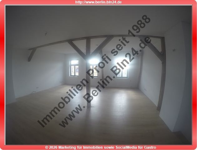 Mietwohnung- Loft - Dachgeschoß - Nähe - Lutherplatz – 006 - GoPro 093