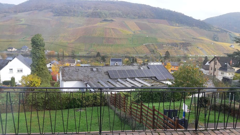 Blick auf die Weinberge