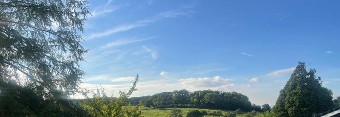 Blick aus dem Garten 