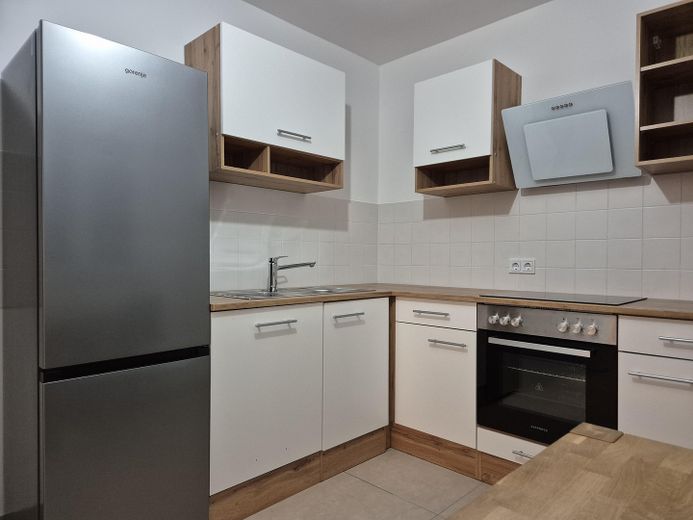 Moderne 1-Zi-Wohnung mit großzügiger Küche und Tiefgaragenplatz in LU a.R. – Küche