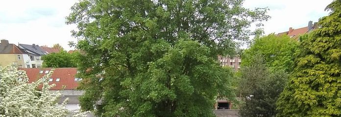 Gemeinschaftsgarten