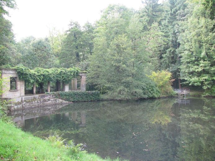 Grünanlage mit Teich