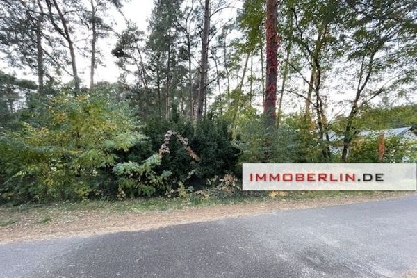 IMMOBERLIN.DE - Bebaubares Waldgrundstück in sehr naturverbundener Lage