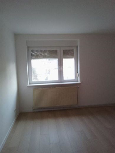 Gemütliche 2-Zimmer mit Dusche und Laminat in guter Lage! Garten mgl. – 1000032448